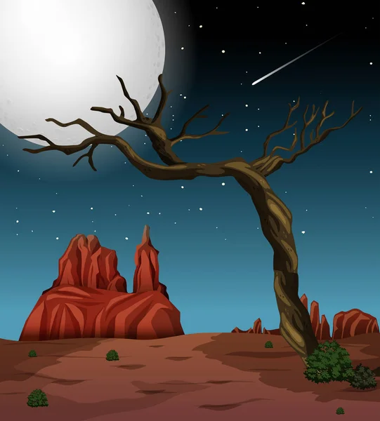 Eine Nächtliche Wüstenlandschaft Illustration — Stockvektor