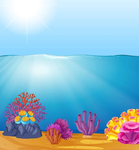 Sponge Sea Clipart