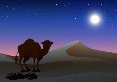 Gece illüstrasyon, Çölde deve