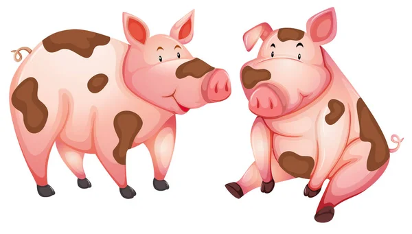 Porcos Bonitos Sujos Fundo Branco Ilustração — Vetor de Stock