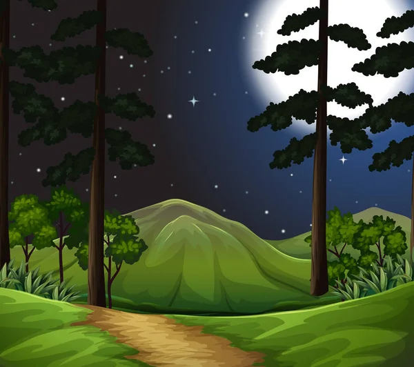 Woods Στο Νύχτα Σκηνή Εικόνα — Διανυσματικό Αρχείο