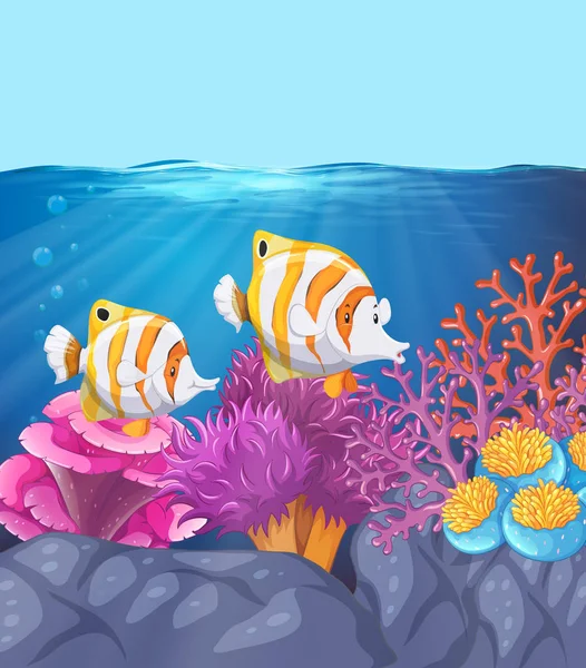 Dwa Piękne Ryby Podwodne Ilustracja — Wektor stockowy