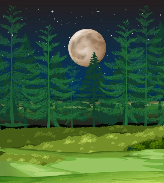 Ein Wald Bei Nacht Illustration — Stockvektor