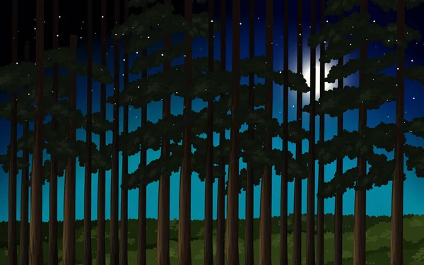 Bosque Noche Escena Ilustración — Vector de stock