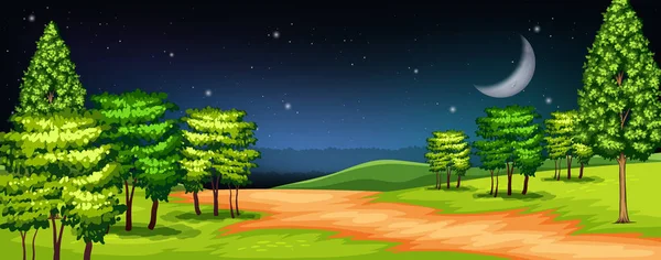 Ein Wald Dunkler Nacht Illustration — Stockvektor