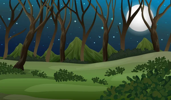 Ein Wald Dunkler Nacht Illustration — Stockvektor