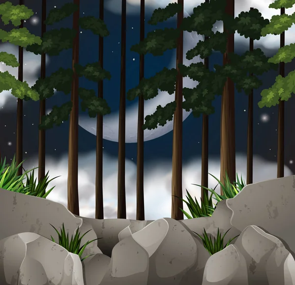 Scène Bois Nuit Illustration — Image vectorielle