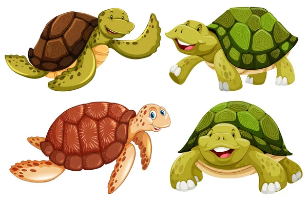 Ensemble Illustrations Tortues Marines — Image vectorielle