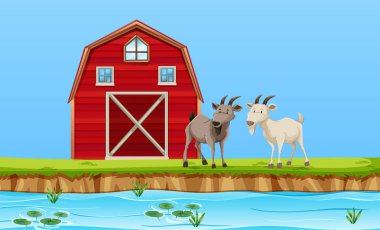 Çiftlik sahne çizimde iki keçi