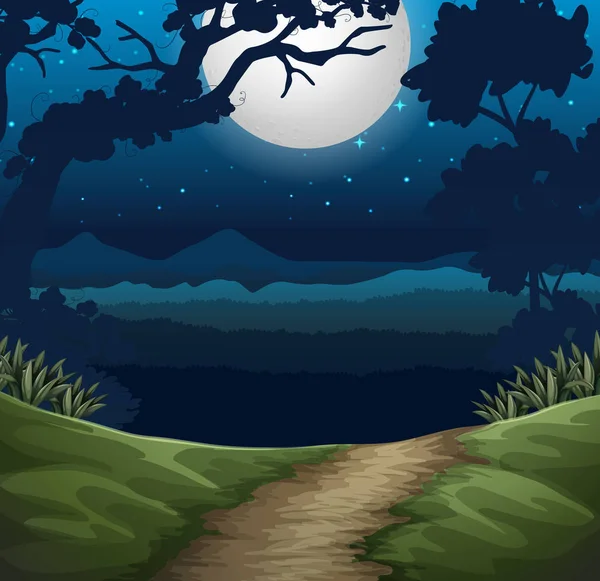 Forest Night Scene Illustration — Stock Vector