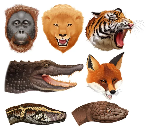 Set of animal heads illustration