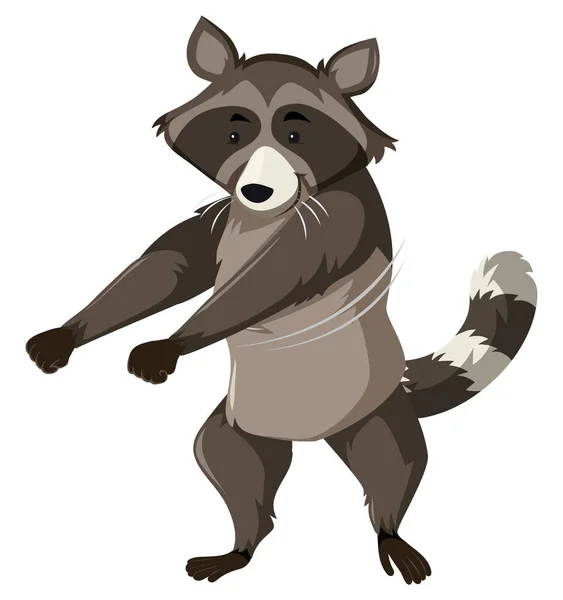 Racoon Bailando Fondo Blanco Ilustración — Vector de stock