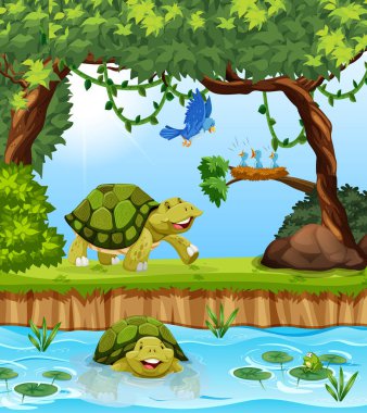 Orman çizimde turtle