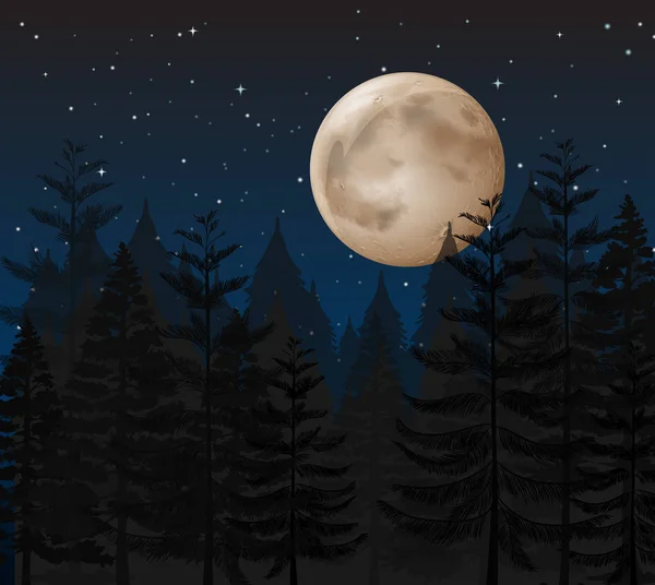 Uma Ilustração Noite Escura Floresta — Vetor de Stock