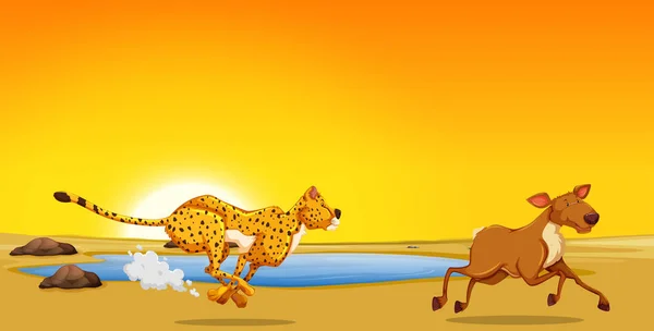Een Cheetah Jacht Herten Illustratie — Stockvector
