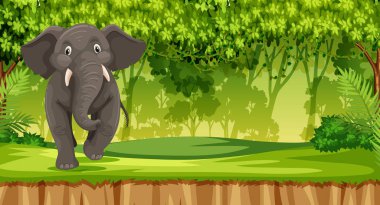 Eleplant orman resimde