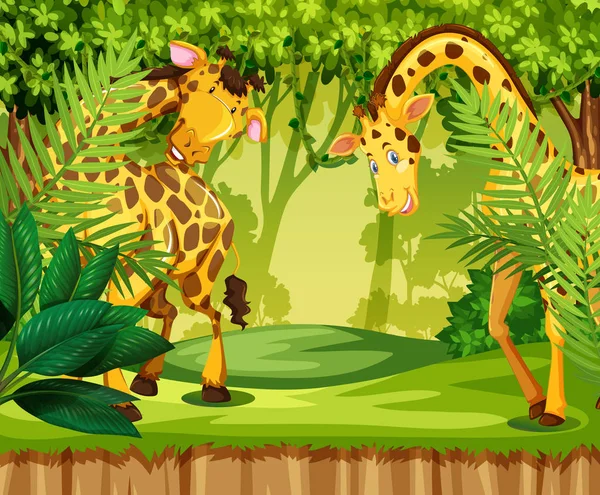 Girafa Selva Ilustração — Vetor de Stock