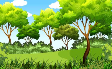yeşil park açık sahne illüstrasyon