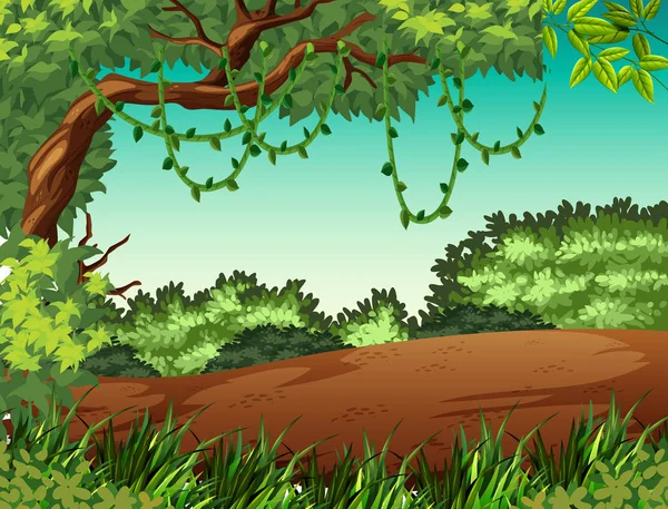Jungle Landscape Background Scene Illustration — Stock Vector