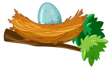 Yuva şube çizimde yumurta