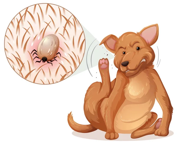 Dog Flea Illustration — Stock Vector
