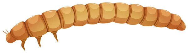 膳食蠕虫 Catapillar 白色背景插图 — 图库矢量图片