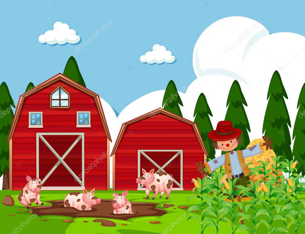 Farm scene with pigs in mud illustration