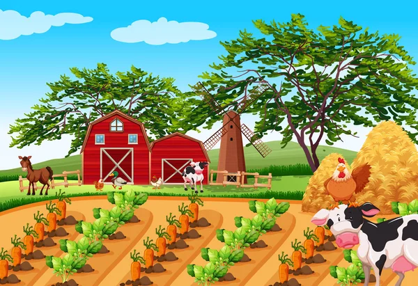 Illustration Paysage Agricole Rural — Image vectorielle