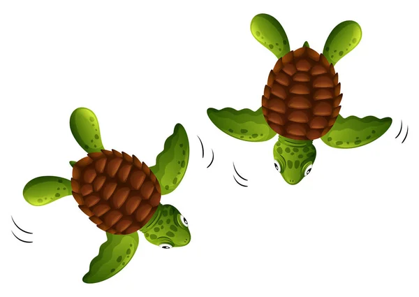 两只小海龟白色背景插图 — 图库矢量图片