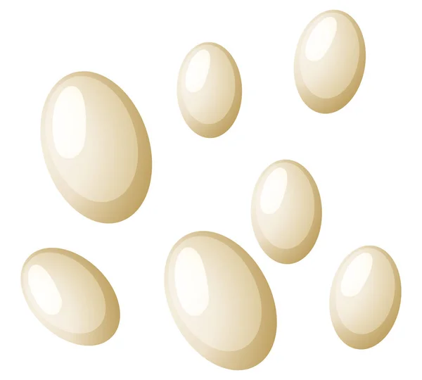 Flea Eggs White Background Illustration — Stock Vector