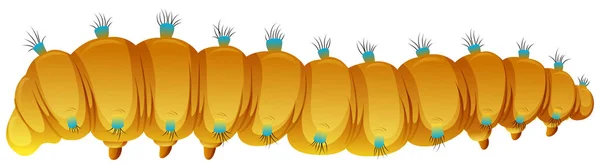 白い背景の図の黄色い毛虫 — ストックベクタ