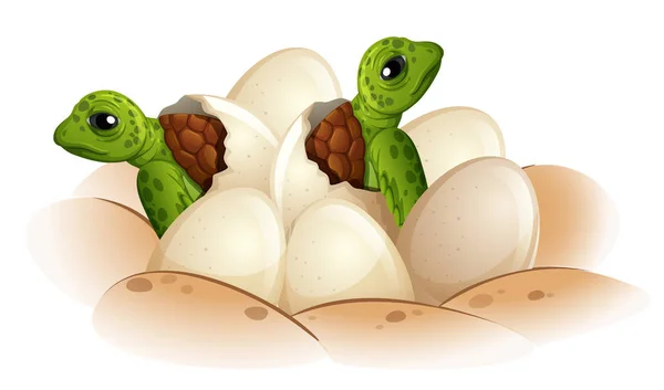Черепаха Вылупляет Яйцо — стоковый вектор