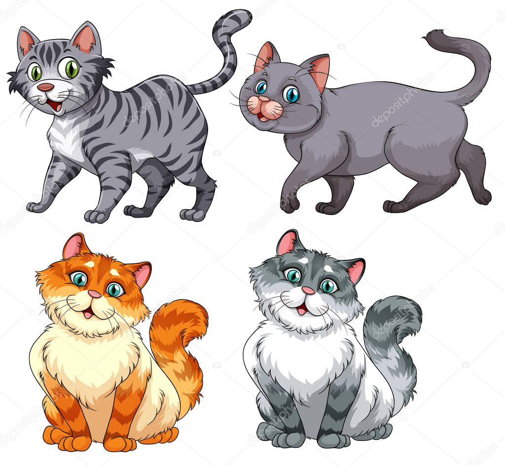 Set of diffrent cat charater illustration