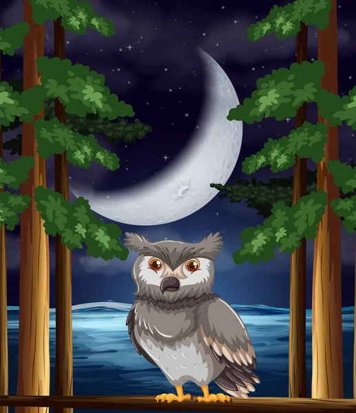 Illustration Fond Hibou Nuit — Image vectorielle