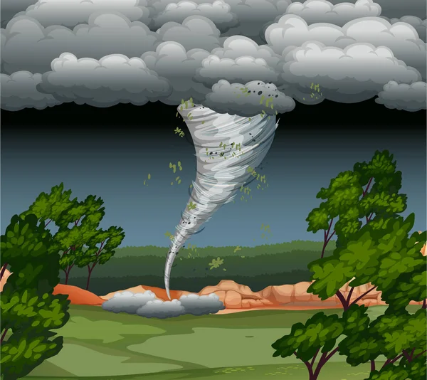 Cyklón Přístupů Lesní Ilustrace — Stockový vektor