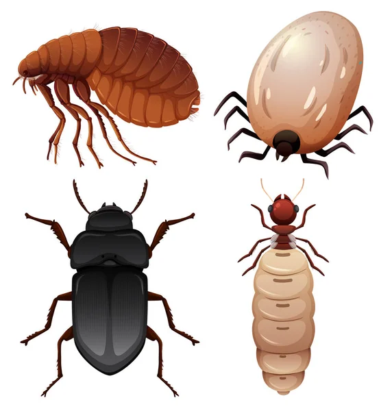 一组昆虫在白色背景插图 — 图库矢量图片