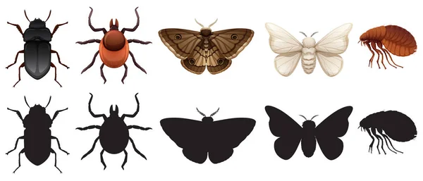 Ensemble Insectes Silhouettes Illustration — Image vectorielle