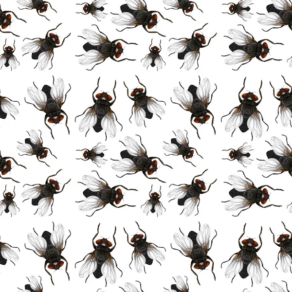 Modèle Sans Couture Flys Illustration — Image vectorielle