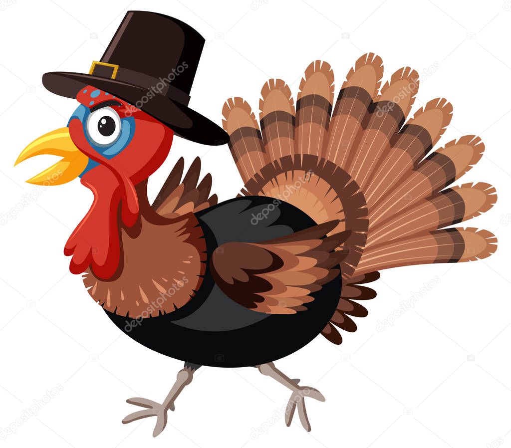 Thanksgiving turkey with hat illustration