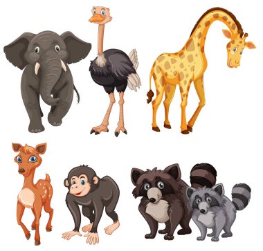 C beyaz arka plan illüstrasyon ayarla