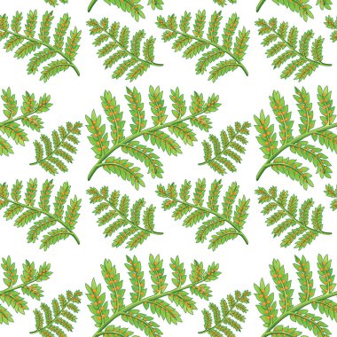 yeşil fern Dikişsiz desen illüstrasyon