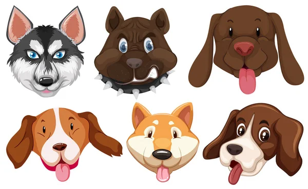 Conjunto Cão Raças Cabeça Ilustração —  Vetores de Stock