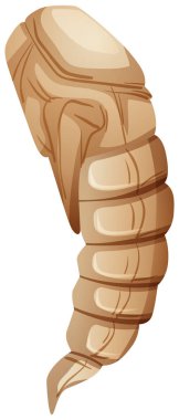 Larvalı pupa üzerinde beyaz arka plan illüstrasyon