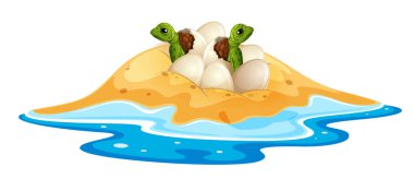 Resimde bebek kaplumbağa yavru yumurta