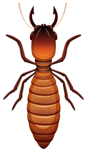 Termite Sur Fond Blanc Illustration — Image vectorielle