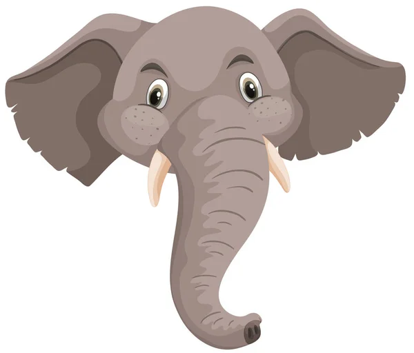 Isolato Elefante Testa Bianco Sfondo Illustrazione — Vettoriale Stock
