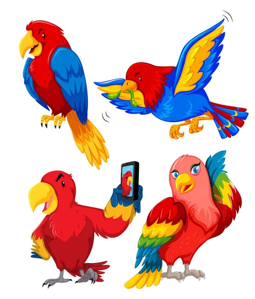 Zestaw Parrot Charakter Ilustracja — Wektor stockowy