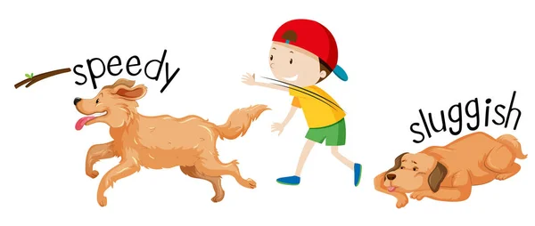Speed Sluggish Dog Illustration — Stock Vector