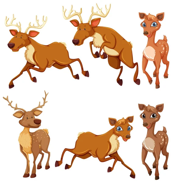 Set Deer Position Illustration — Stock Vector