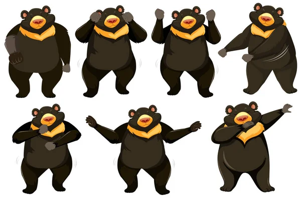 Set Bear Dance Position Illustration — Stock Vector
